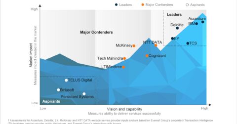 Digital Transformation Consulting Services Peak Matrix 2024